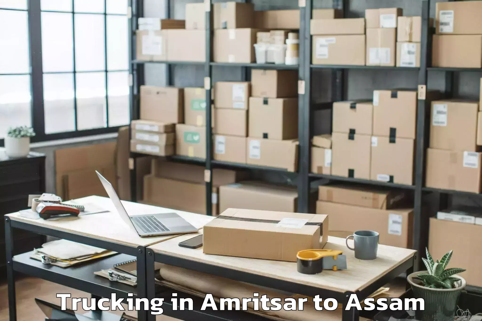 Hassle-Free Amritsar to Numaligarh Trucking